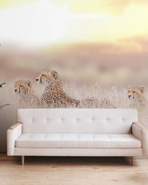 MARBURG | Cheetah Family Time