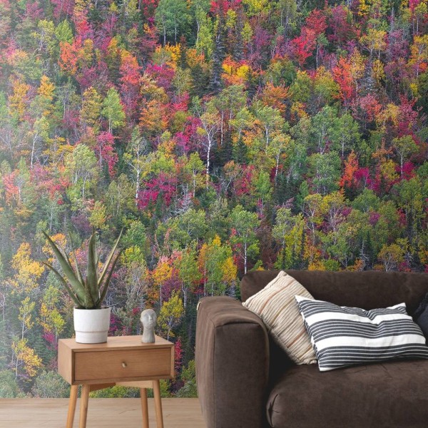 MARBURG | Colorful Auntumn Trees