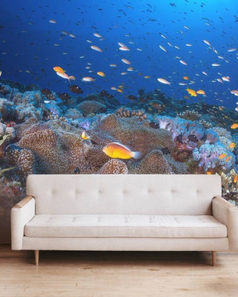 MARBURG | Coral Reefs Collection