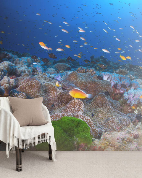 MARBURG | Coral Reefs Collection