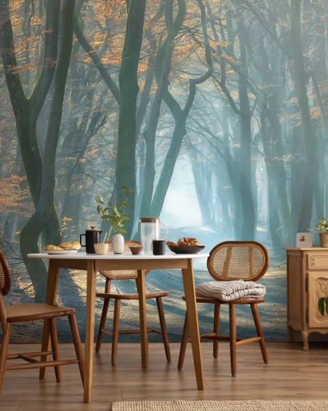 MARBURG | Dark Forest