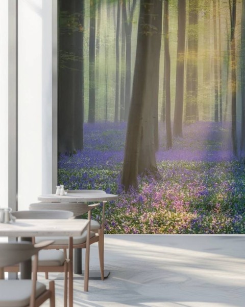 MARBURG | Daydreaming of Bluebells
