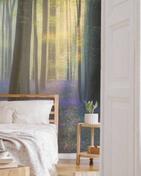 MARBURG | Daydreaming of Bluebells