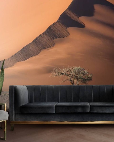 MARBURG | Dune and Tree
