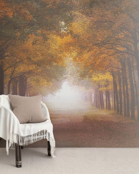 MARBURG | Foggy Autumn Dream