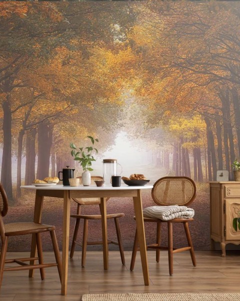 MARBURG | Foggy Autumn Dream