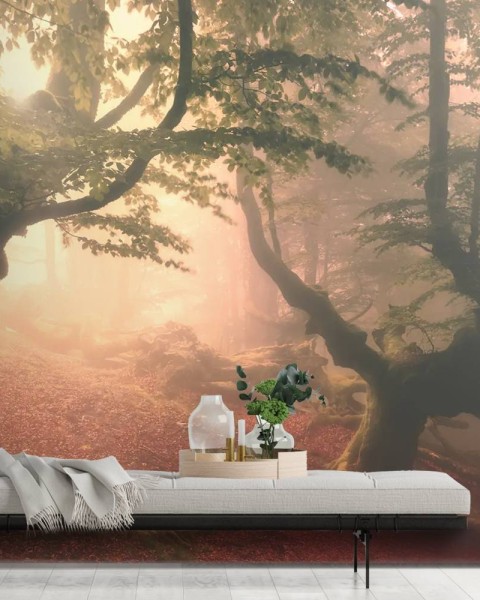 MARBURG | Fangorn Forest