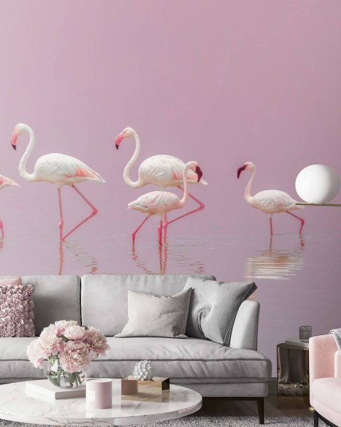 MARBURG | Flamingos Feeding