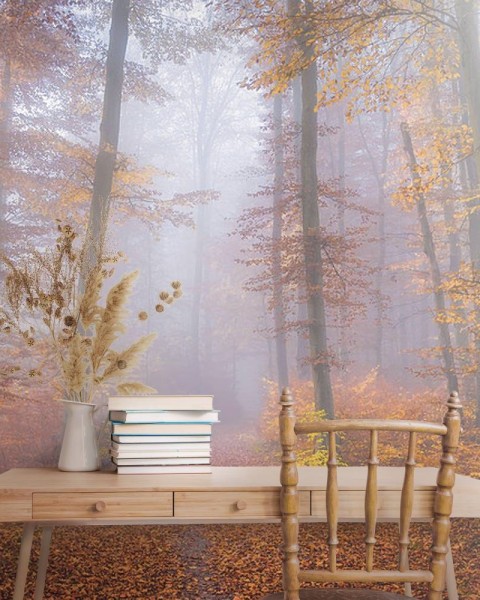 MARBURG | Fog Autumn Morning