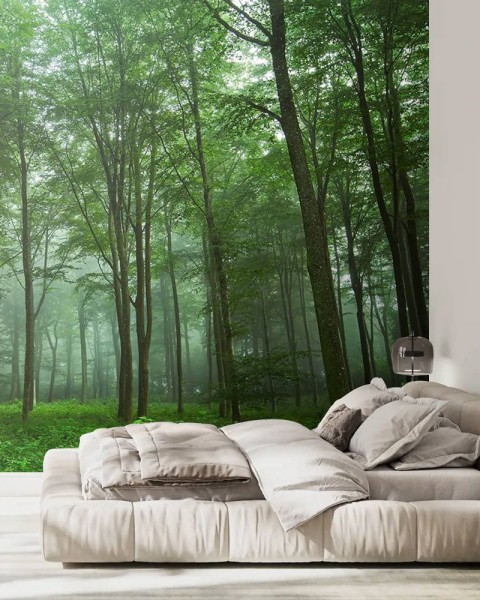 MARBURG | Forest View Trees