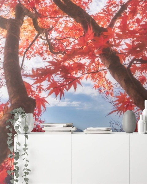 MARBURG | Fuji Pyramid Trees