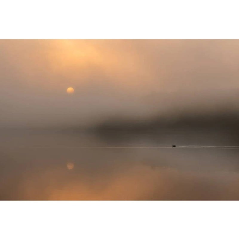 MARBURG | Inner Fog Reflection