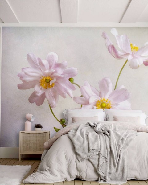 MARBURG | Japanese Anemones
