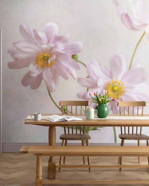 MARBURG | Japanese Anemones