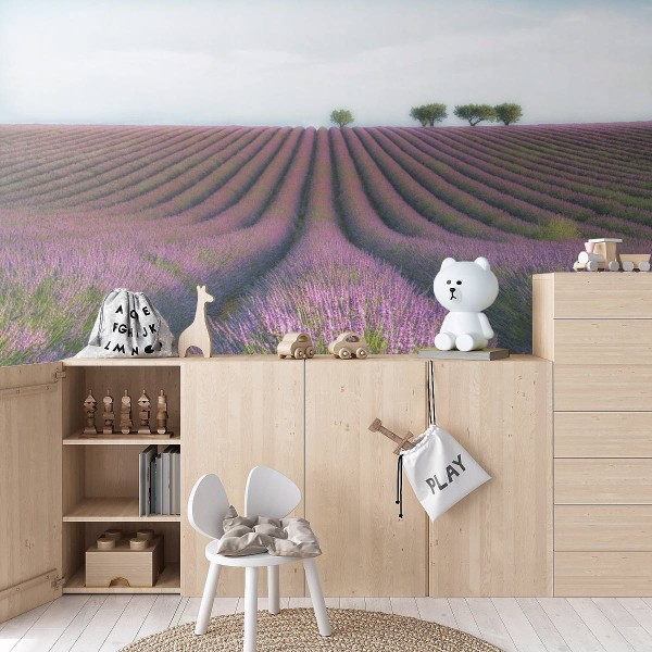 MARBURG | Lavender in Summer