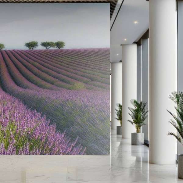 MARBURG | Lavender in Summer