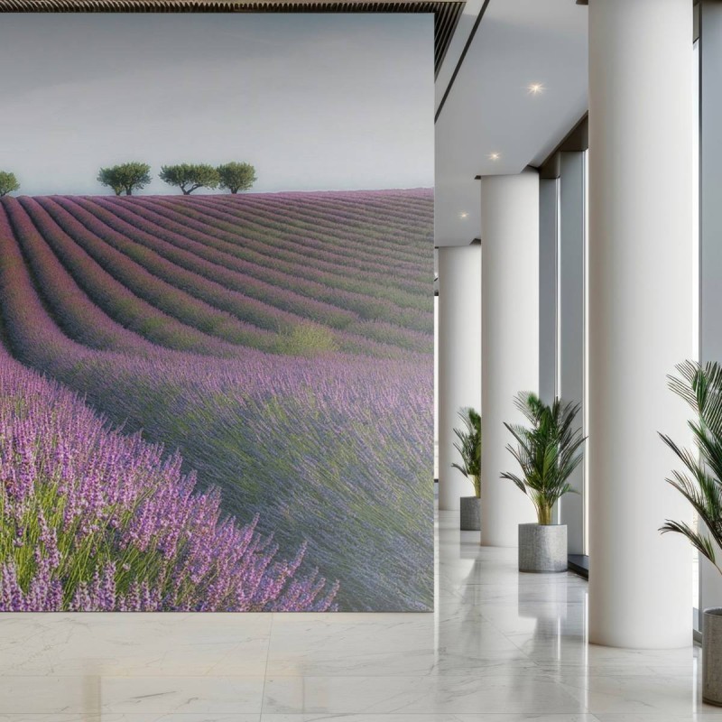 MARBURG | Lavender in Summer