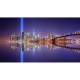MARBURG | Light of Brooklyn