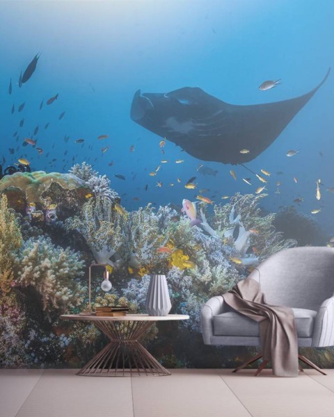 MARBURG | Manta Reef