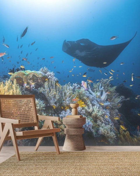 MARBURG | Manta Reef