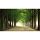 MARBURG | Measequoia Road Park