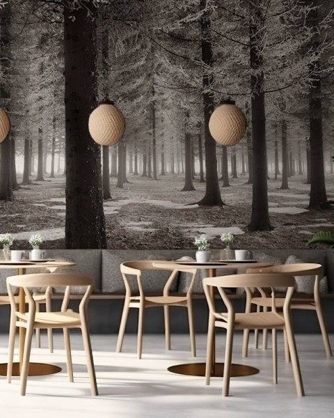 MARBURG | Monochrome Forest