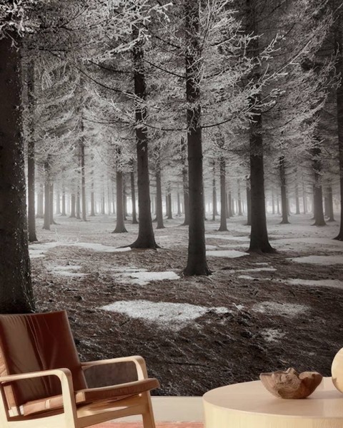 MARBURG | Monochrome Forest
