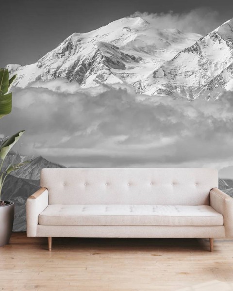 MARBURG | Monochrome of Denali