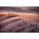 MARBURG | Morning Fog Flood