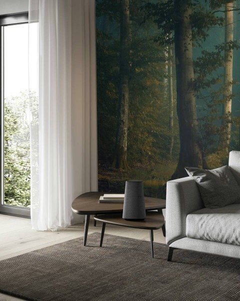 MARBURG | Wellbeing Forest