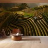 MARBURG | Mu Cang Chai