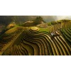 MARBURG | Mu Cang Chai