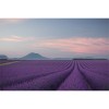 MARBURG | Peaceful France Lavanda