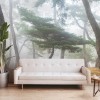 MARBURG | Pine Forest Seowon