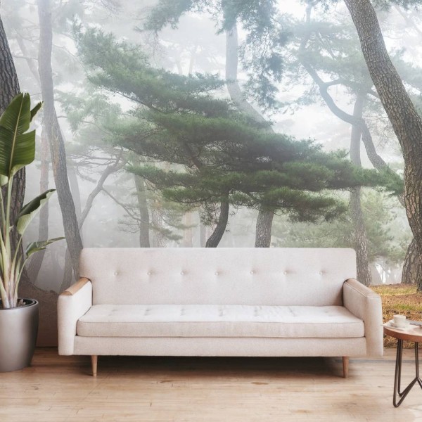 MARBURG | Pine Forest Seowon
