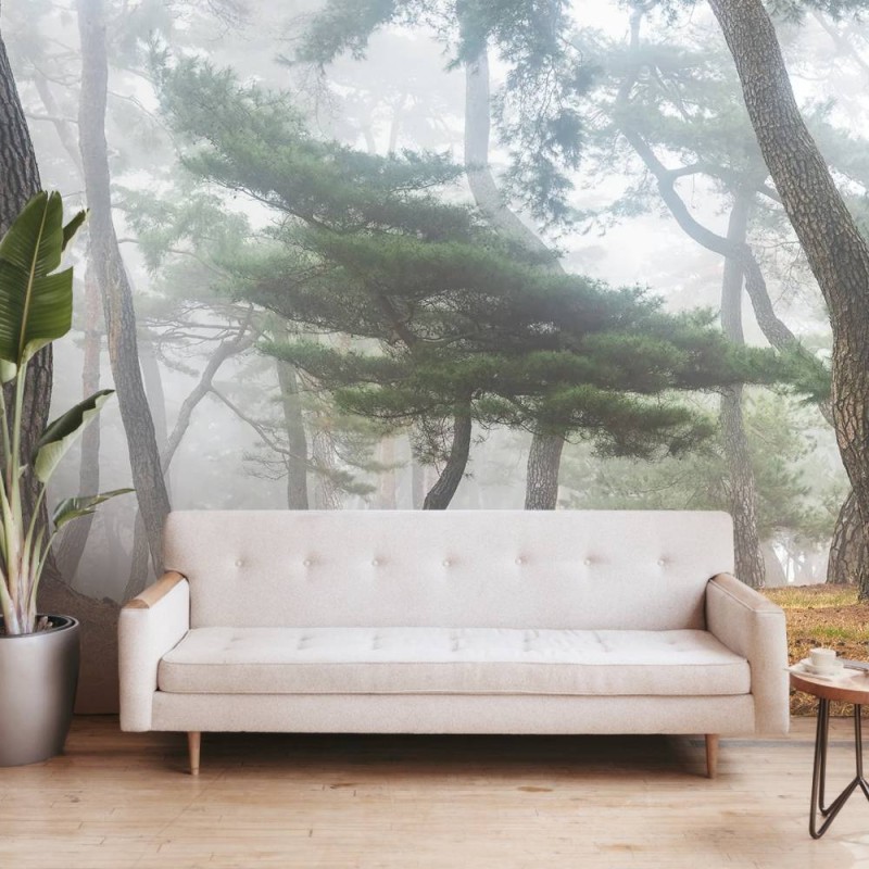 MARBURG | Pine Forest Seowon