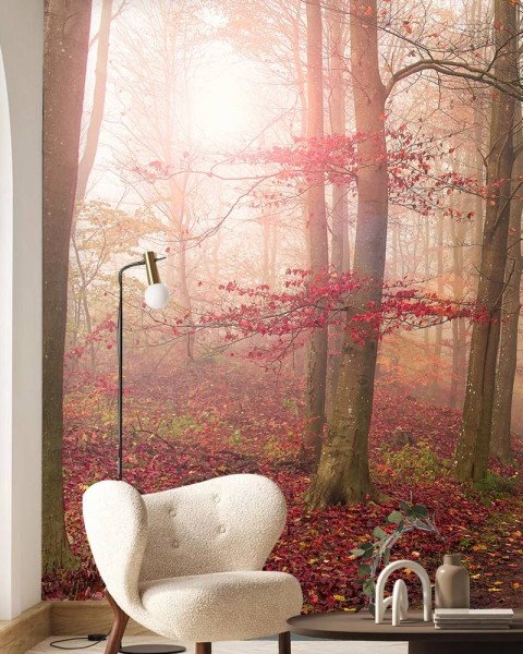 MARBURG | Red Foggy Autumn