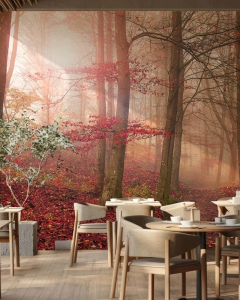 MARBURG | Red Foggy Autumn