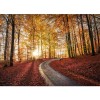 MARBURG | Road in National Park