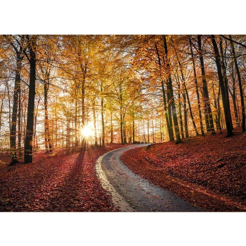 MARBURG | Road in National Park