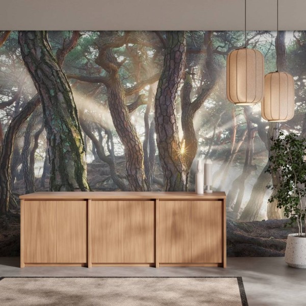 MARBURG | Sacred Pine Trees