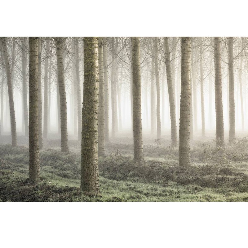 MARBURG | Small Woodland