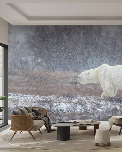 MARBURG | Snow and Bear