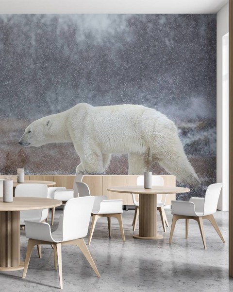 MARBURG | Snow and Bear