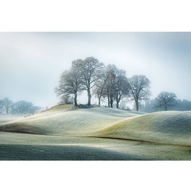 MARBURG | Snowy Hills