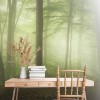 MARBURG | Spring Morning Forest