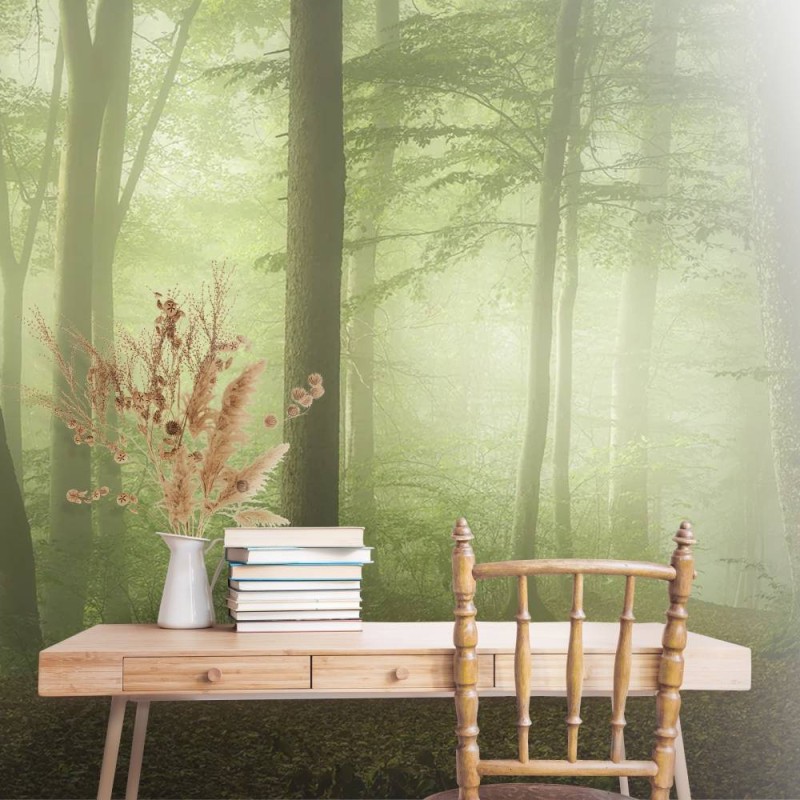 MARBURG | Spring Morning Forest