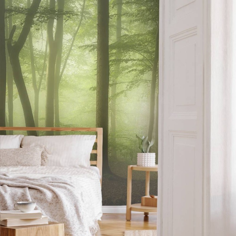MARBURG | Spring Morning Forest