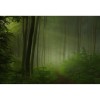 MARBURG | Spring Promise Forest