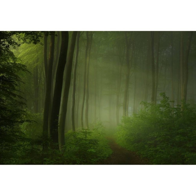 MARBURG | Spring Promise Forest